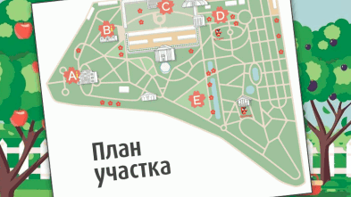 Раторика